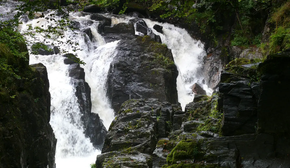 Le cascate del Black Linn nel bosco dell'Hermitage